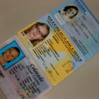 Unidentifiable Identification