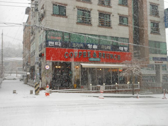 Sunbean looked so appealing and cozy. Stupid work making me not have time to sip coffee. 