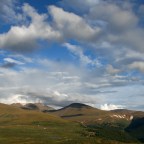 Beet Kvass: DIY Fermenting and Colorado Craft Beer