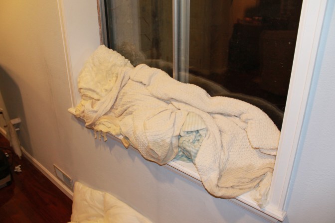 Water was coming in this window, too. 