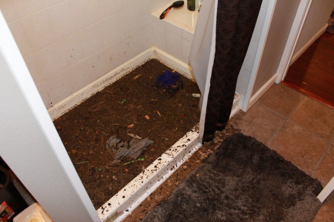 Dirt from the water coming in the window, from trying to drain the shop vac. 