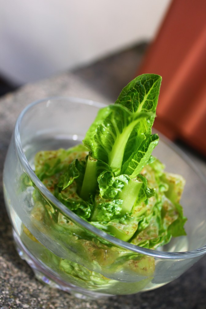 It's aliiiiiive.....