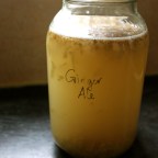 First-Time Fermenter