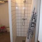 Something’s Frozen In The State of Denmark: Anatomy of a Shower in Copenhagen
