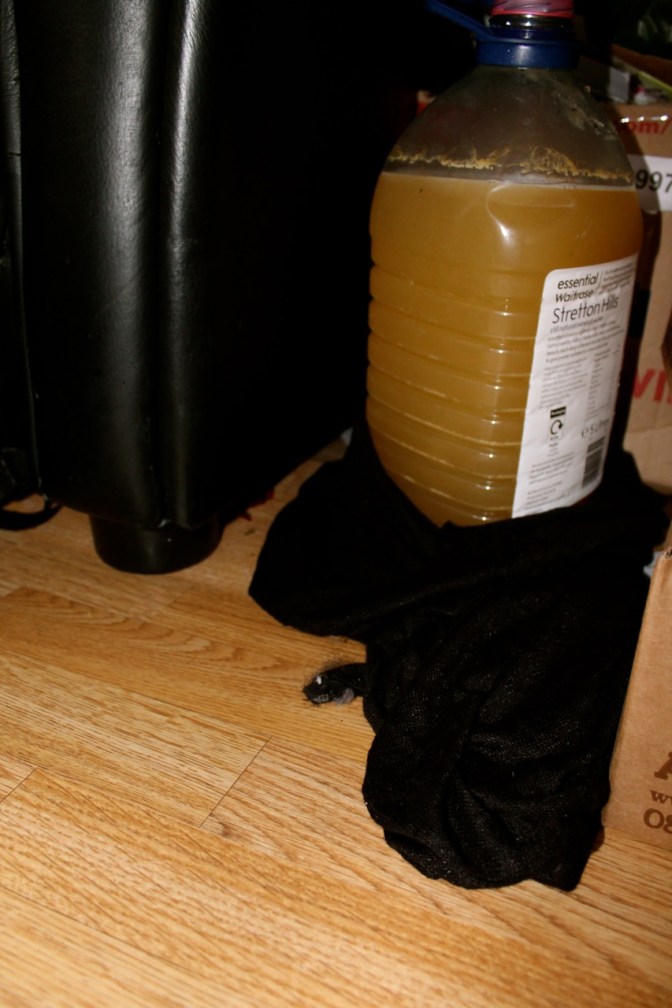 Batch in our room. Note the colour!