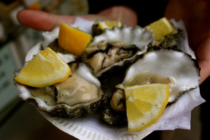 Oysters at Brighton Beach 