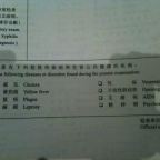 The Transition: Moving Abroad. Again.