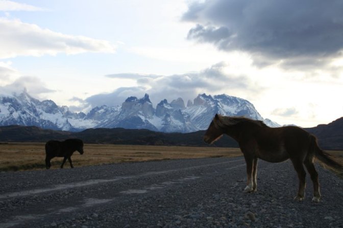 Something along these lines.