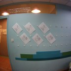 How One Feels After a Week of ‘Open Door’ Classes