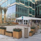 Beer In Situ: The BREW (Pudong)