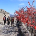 A new “Icelandic Saga” – The Nomad Saga