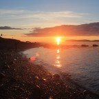 Prologue and Ancestry: 21st Century Saga