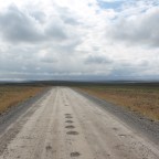 Towards The Farthest North in this Empty Northern Hemisphere