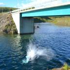 Sometimes You Just Gotta Jump Off A Bridge in Iceland