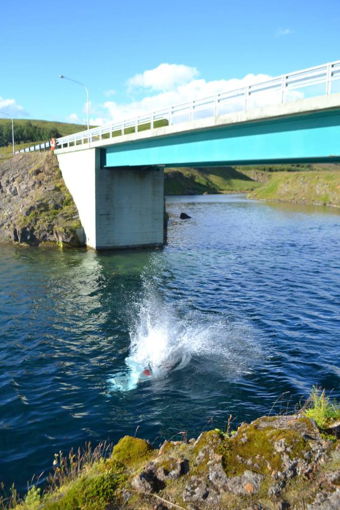 13923629_10153857813010878_1837532540750944993_o