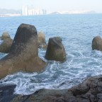 Igidae: Seaside Park in Busan