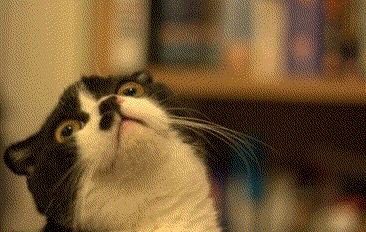 tumblr_lzq4txdru21qinfda