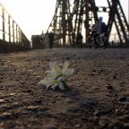 Shots Around Hanoi: First Steps